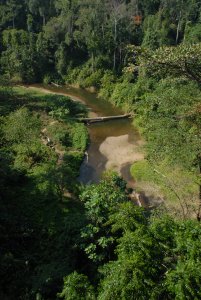 Way Canguk in Bukit Barisan Selatan National Park -- a bat diversity hotspot (photo Tigga Kingston)